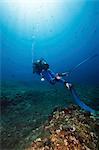 Diving, Adriatic Sea, Croatia, Europe