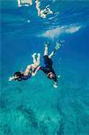 Couple diving into water, Adriatic Sea, Dalmatia, Croatia