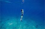 Snorkeler underwater, Adriatic Sea, Dalmatia, Croatia