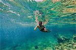 Diving into Water, Adriatic Sea, Dalmatia, Croatia