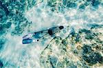 Diver snorkeling underwater, Adriatic Sea,  Dalmatia, Croatia