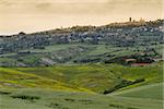 Tuscany landscape around Pienza, Val d'Orcia, Italy