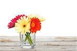 Colorful gerbera flowers on wooden table with copy space