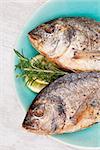 Two grilled fish head on plate close up, top view. Culinary grilled seafood eating. Healthy mediterranean cuisine.