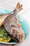 Grilled sea bream fish on plate with fresh rosemary and lemon. Culinary healthy seafood eating.