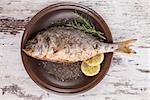 Grilled fish on brown plate with herbs and lemon on white wooden background, top view. Mediterranean luxurious seafood concept.