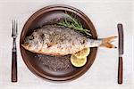 Grilled fish with lemon and rosemary on brown plate with antique cutlery isolated on white wooden background with clipping path, top view. Mediterranean seafood background.