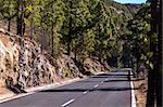 Road to Teide volcano. Tenerife, Canary Islands. Spain