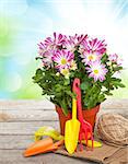 Potted flower and garden tools on wooden table
