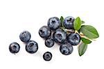 Mature bilberry with green leaves