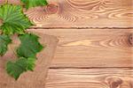 Grape vine over wooden table background with copy space