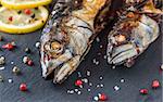 Baked Whole Mackerel Fish with Spice, Lemon and Rosemary on Stone