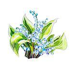 Lilies of the valley isolated on white. Watercolor painting.