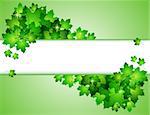 Nature background with green fresh leaves . Vector illustration.