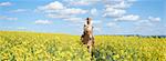 Young woman riding a Haflinger horse in a canola field in spring, Bavaria, Germany