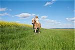 Young woman riding a Haflinger horse in a meadow in spring, Bavaria, Germany