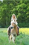 Young woman riding a Haflinger horse in meadow in spring, Bavaria, Germany