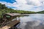 Pier and mangroves on the Malanza River on the south coast of Sao Tome, Sao Tome and Principe, Atlantic Ocean, Africa