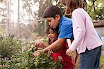 Children observing grasshopper in garden