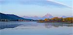 Oxbow Bend of Snake River with Mt Moran and American Aspens (Populus tremuloides) in Autumn Foliage, Grand Teton National Park, Wyoming, USA