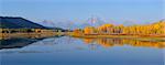 Oxbow Bend of Snake River with Mt Moran and American Aspens (Populus tremuloides) in Autumn Foliage, Grand Teton National Park, Wyoming, USA