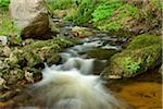 Ilse, Ilse Valley, Heinrich Heine Trail, Ilsenburg, Harz National Park, Harz, Saxony-Anhalt, Germany