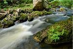 Ilse, Ilse Valley. Heinrich Heine Trail, Ilsenburg, Harz National Park, Harz, Saxony-Anhalt, Germany