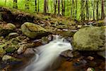 Ilse, Ilse Valley. Heinrich Heine Trail, Ilsenburg, Harz National Park, Harz, Saxony-Anhalt, Germany