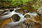 Ilse, Ilse Valley. Heinrich Heine Trail, Ilsenburg, Harz National Park, Harz, Saxony-Anhalt, Germany