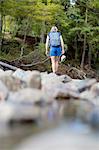 Hiker walking among stones in shallow stream, Waima Forest, North Island, NZ