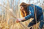Man harvesting wheat with scythe