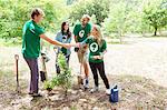 Environmentalist volunteers planting new tree and handshaking