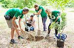 Environmentalist volunteers planting new tree