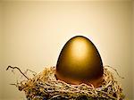 Golden egg on gold nest still life