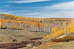 View over the Kolob Terrace and valley in autumn, aspen trees in autumn colours.