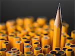 sharpened pencil among pencils