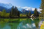 Europe, France, Haute Savoie, Rhone Alps, Chamonix Valley, Mont Blanc 4810m above Lac des Gaillands