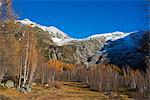 Europe, France, Haute Savoie, Rhone Alps, Chamonix,  Le Tour, glacier and autumn landscape