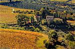 Italy, Italia. Tuscany, Toscana. Firenze district. Chianti.