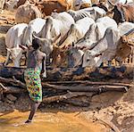 Kenya, Samburu County, Serolevi. A Samburu boy waters his family' s herds at Kisima Hamsini wells.
