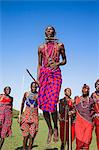 Africa, Kenya, Narok County, Masai Mara. Masai men dancing at their homestead.