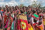 Africa, Kenya, Narok County, Masai Mara. Masai women dancing at their homestead.