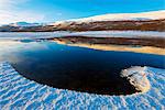 Europe, Scandinavia, Sweden, Abisko National Park