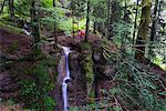 Europe, Switzerland, canton of Schwyz, Mt Rigi, waterfall MR