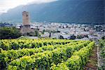 Europe, Switzerland, Swiss Alps, Valais, Martigny, vineyards and Martigny castle