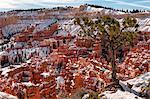 U.S.A., Utah, Bryce Canyon National Park