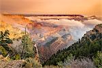 Foggy sunrise in the south rim, Grand Canyon National Park, Arizona, USA