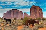 Horses grazing with buttes behind, Monument Valley Navajo Tribal Park, Arizona, USA