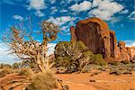 Scenic desert landscape, Monument Valley Navajo Tribal Park, Arizona, USA