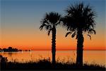 USA, Florida, Franklin County, Gulf of Mexico, Apalachicola, St. George Island, sunset with palm trees looking west from causeway